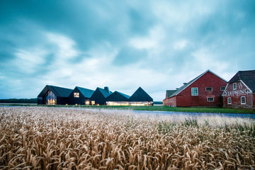 VISITING STAUNING DISTILLERY, DENMARK - The Heart Cut