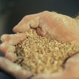 Close-up of hands holding a handful of grain with a blurred background