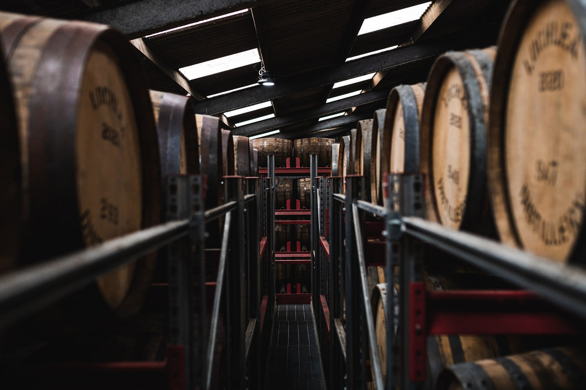 Barrels of whisky in a warehouse