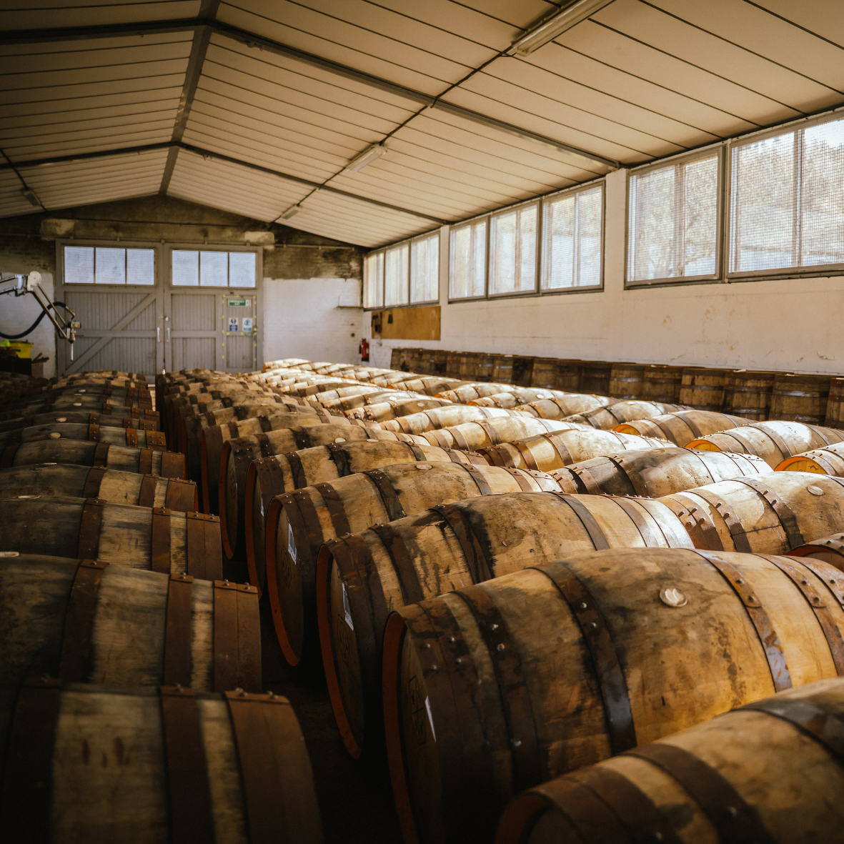 Casks maturing at Tormore distillery in Scotland