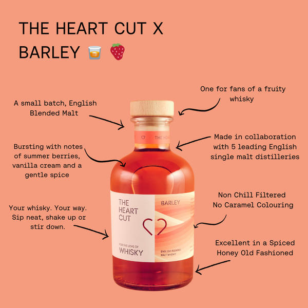 NEW HERE?  START WITH THE BEST